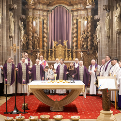 Bischofsprimizmesse Perchtholdsdorf / Erzdiözese Wien/Schönlaub