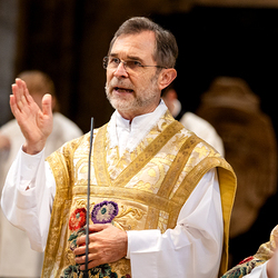 Allerheiligen Stephansdom / Erzdiözese Wien/Schönlaub, Stephan Schönlaub Allerheiligen Stephansdom