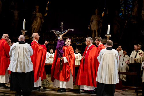 Karfreitag 2026 / Erzdiözese Wien/Schönlaub, Stephan Schönlaub