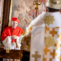 byzantinisches Pontifikalamt Stephansdom / Erzdiözese Wien/ Schönlaub byzantinisches Pontifikalamt Stephansdom