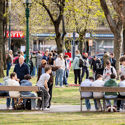 Feuerfest 2025 / Erzdiözese Wien/Schönlaub